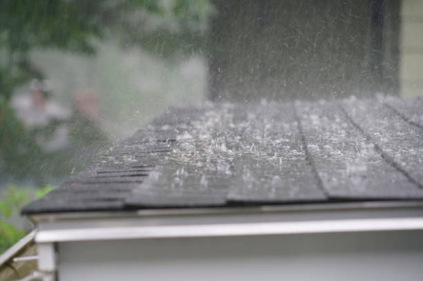 Best Asphalt Shingles Roofing  in Channel Islands Beach, CA