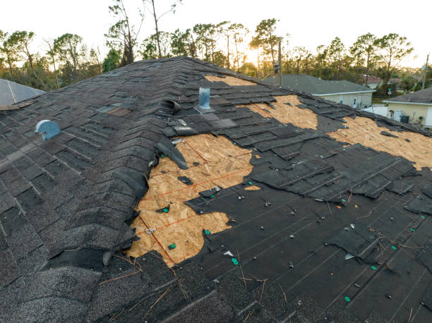 Best Gutter Installation and Repair  in Channel Islands Beach, CA
